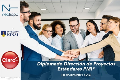 DDP-025N01 Dirección Proyectos - Estándares PMI®